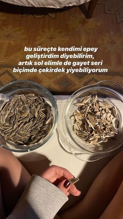 Çekirdek sever misiniz?