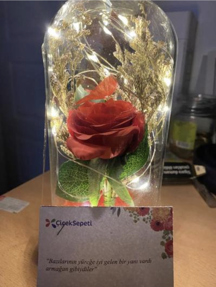 Okuduğunuz en anlamlı kitap cümlesi neydi?