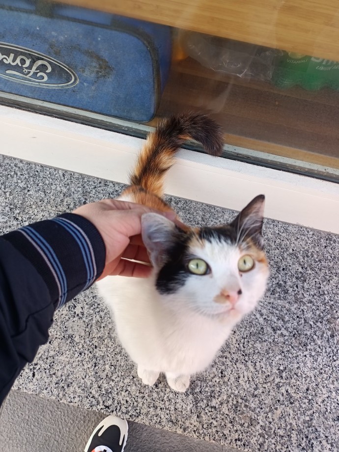 Ufaklık çok tatlı değil mi?