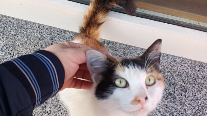 Ufaklık çok tatlı değil mi?