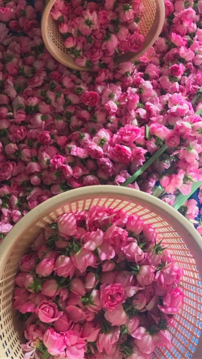 #nirhammm 🌸 🌸