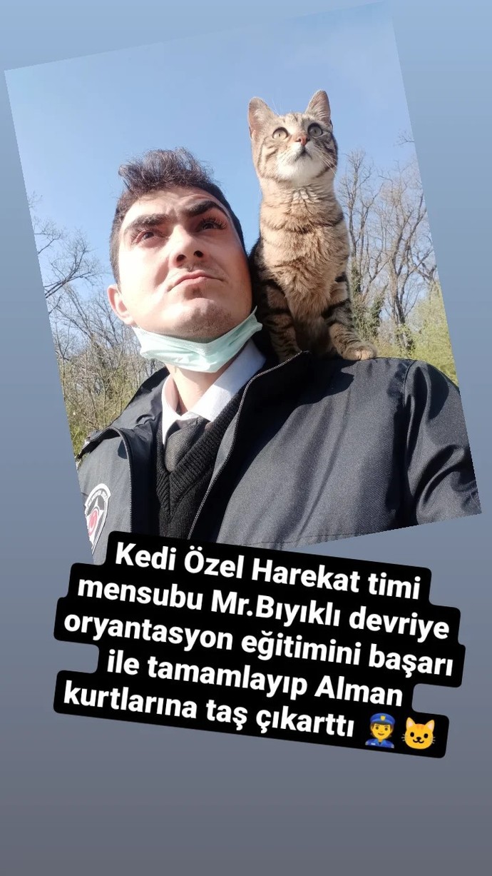 K-9 lara alternatif olarak eğitilen K. Ö. H ler hakkında ne düşünüyorsunuz?