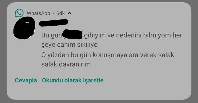 Asker sevgilimin yazdığı mesaj?