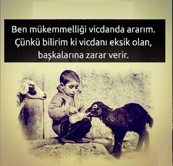 Vicdanlı mısın Yoksa Vicdansız mı?