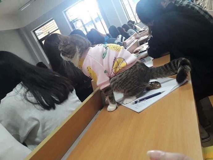 Eski Mısır Mitolojisine göre burçlar nedir?