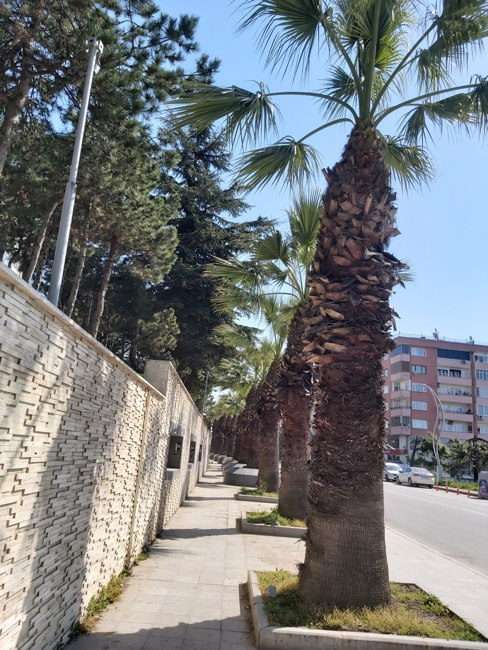 Yaşadığınız yeri seviyor musunuz?