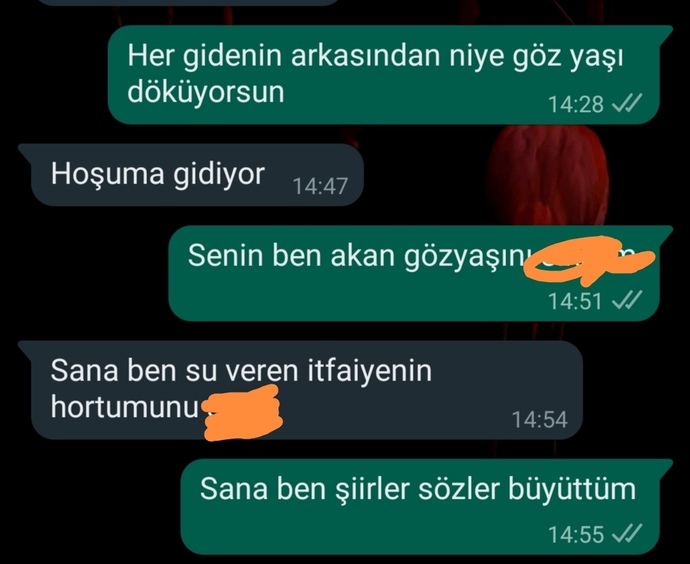 2 dakika ciddi olamıyoruz.. 🦁