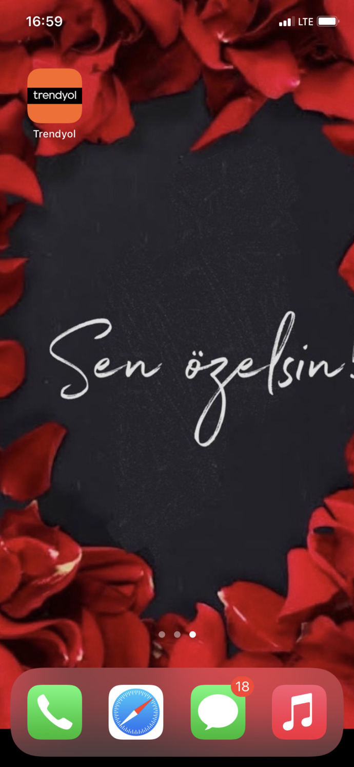 Telefonunuzun ana ekranında hangi görsel var?
