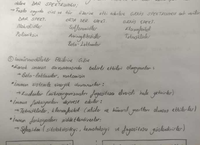 Yazı yazmanız güzel midir?
