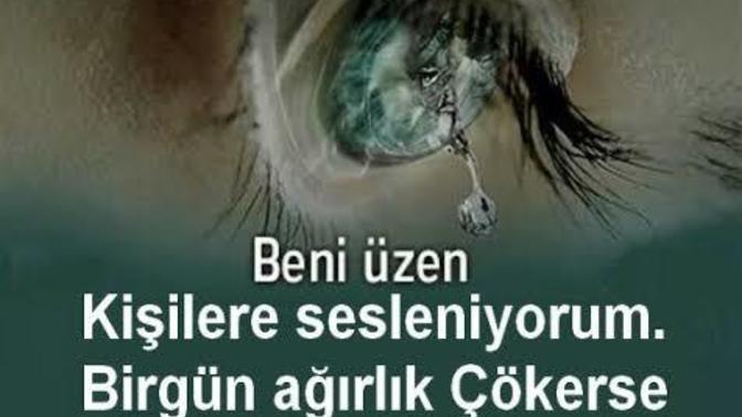 Seni üzen kisiye seni cok üzdügünü soylemek isteseydin ne derdin?
