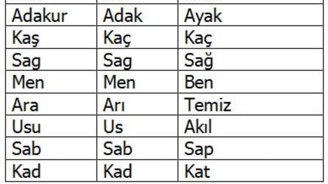 Sümerlilerin Türklerle bağlantılı olduğunu düşünüyor musunuz?