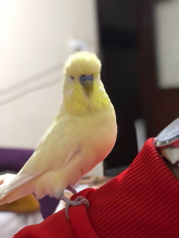 Galerinizde sizden sonra en çok fotoğrafı olan kişi kim?