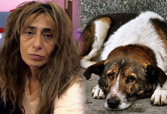 Yıldız Tilbe ifade verdi: Köpekler insanları yiyor! Sizce haklı mı?