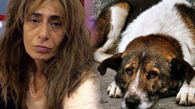 Yıldız Tilbe ifade verdi: "Köpekler insanları yiyor!" Sizce haklı mı?