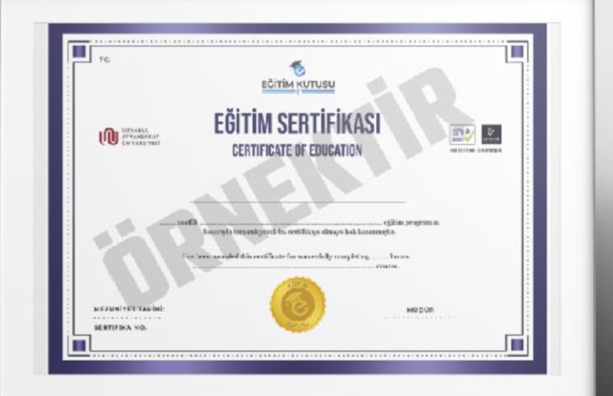Kaç sertifika sahibisiniz, iş bulmanızda size bir faydası oldu mu?
