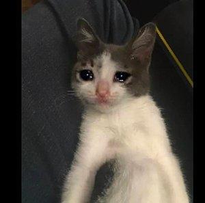 Son 2 hafta içinde kilo verebildiniz mi?