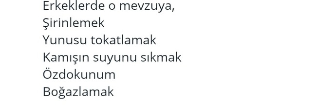 Mastürbasyona insanlar tarafından verilen diğer isimlerden rahatsız olur musunuz?