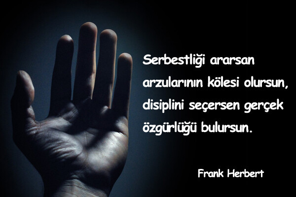 Disiplinli olamamak zekadan mı gelir yoksa yengeç burcu oldugum için mi?