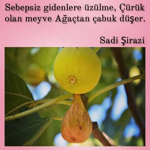 Sizce ne yapmalıyım zorlanıyorum?