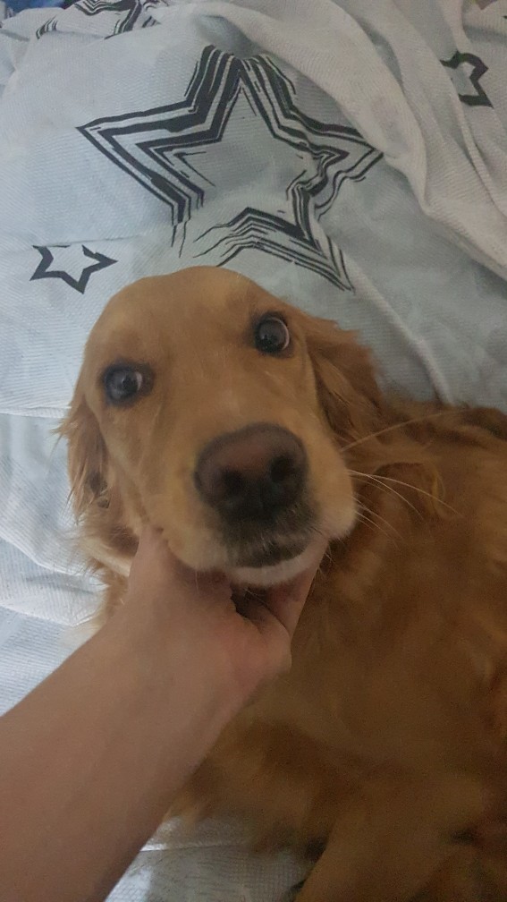 Köpüş yaptım, nasıl olmuş?