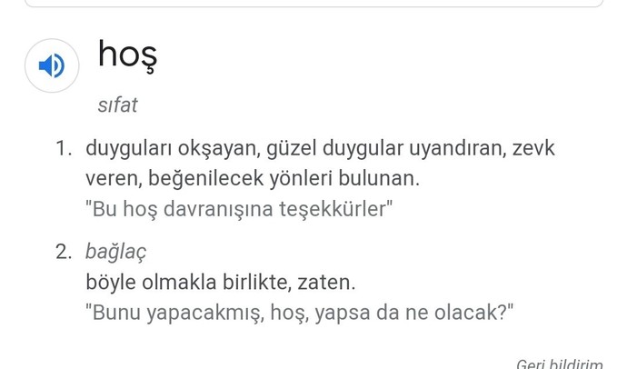 Hoş kız derken ne demek istedi?
