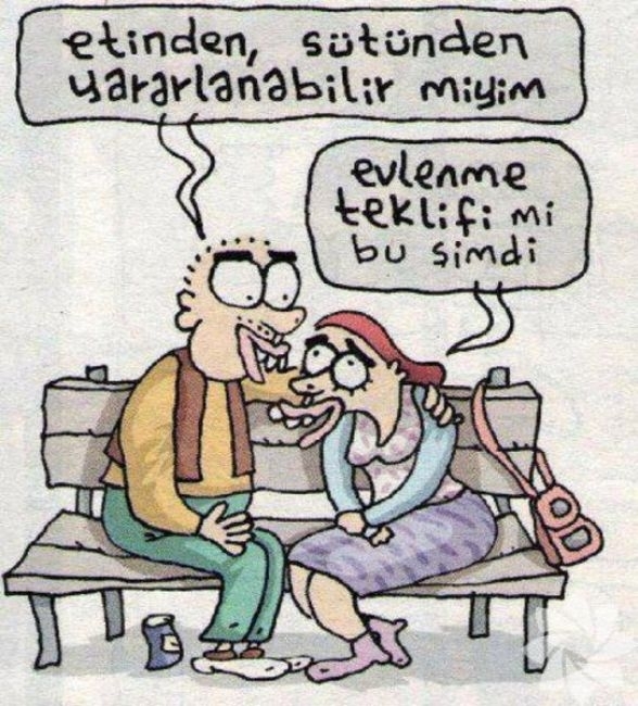 PRENSİPTE ANLAŞAN AYI