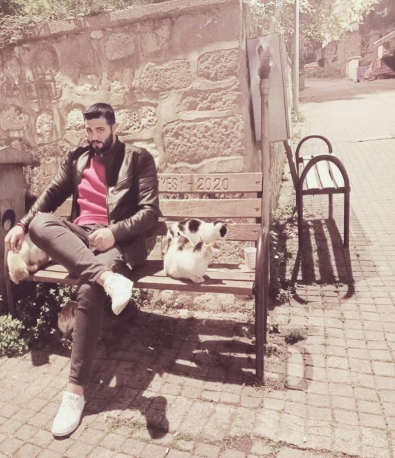 Köpek mi alsam kedi mi?