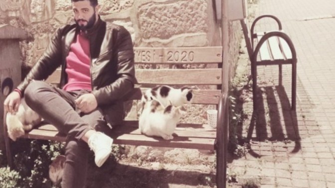 Köpek mi alsam kedi mi?