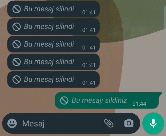 Son olarak kimden mesaj aldın?