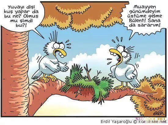 Muayyen gün 🤣
