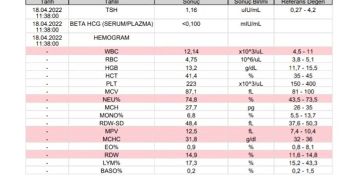Hormon testi sonuçlarım anlayanlar bakabilir mi?
