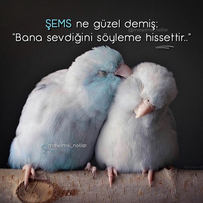 Neden duygularınızı ifade etmekte zorlanıyorsunuz?