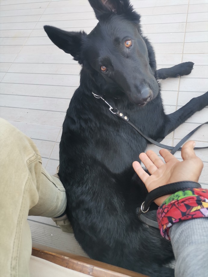 Olgun sevmek normal mi?