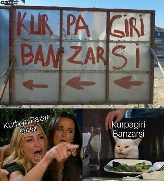 Arkadaşlar, sizce hangisini seçeyim?