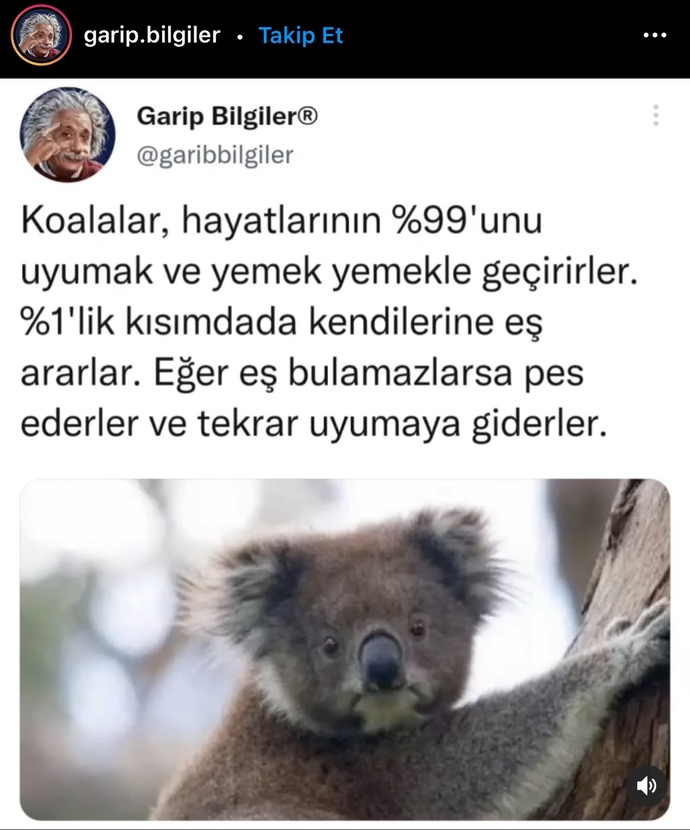 En belirgin huyunuza göre hangi hayvansınız söyleyim mi?