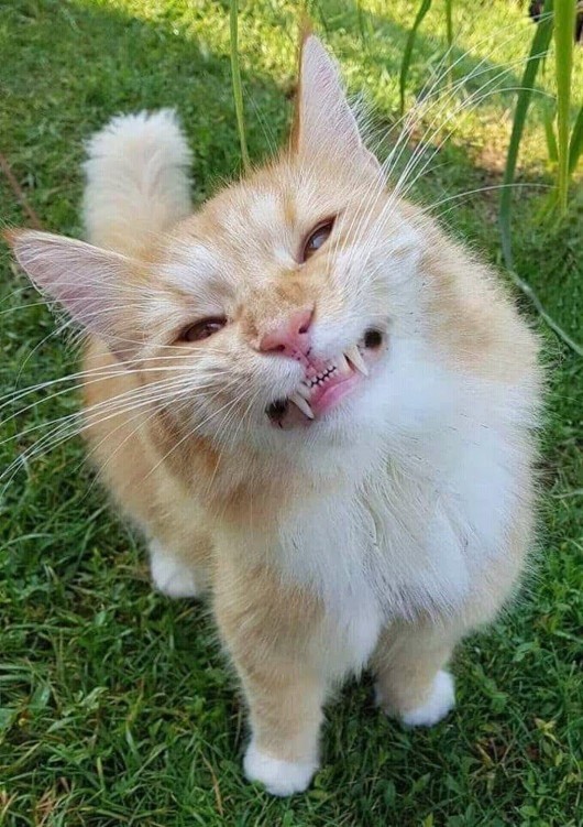 Annem erkek arkadaşımı neredeyse benden çok seviyor, bu duruma bozuluyorum tuhaflık bende mi?