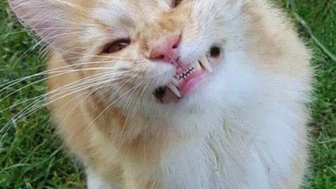 Annem erkek arkadaşımı neredeyse benden çok seviyor, bu duruma bozuluyorum tuhaflık bende mi?