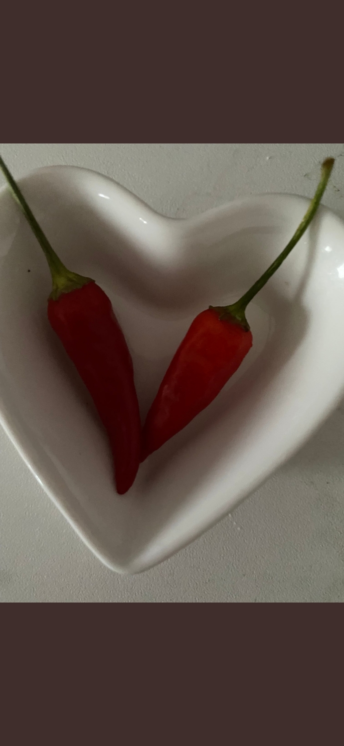 Sekse ve uzuvlara dair bir şeyi değiştirmek isteseydiniz bu ne olurdu?