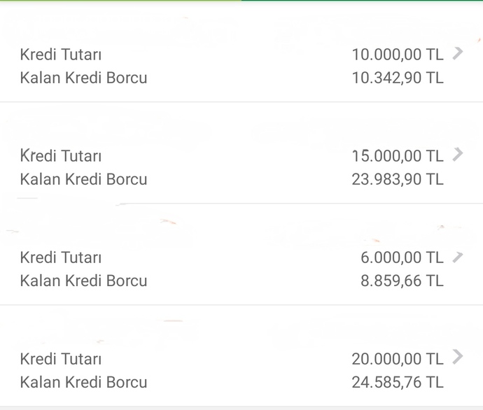 Bankalara ne kadar kredi borcunuz var?
