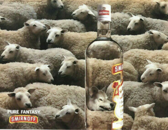 Bir hayvana dönüşecek olsanız bu hangisi olurdu 🐾?