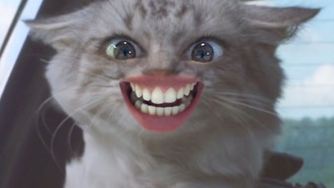 Bir hayvana dönüşecek olsanız bu hangisi olurdu 🐾?