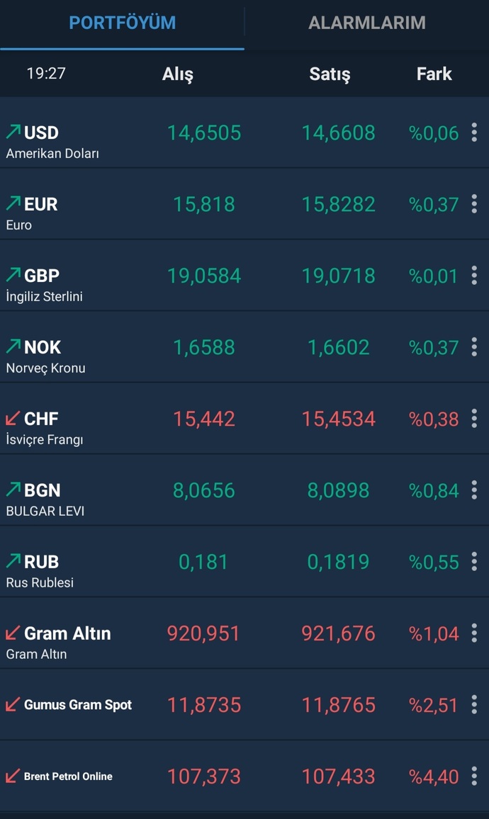 Kişisel portföyünüzde sıklıkla hangi emtia/dövize yer verirsiniz?