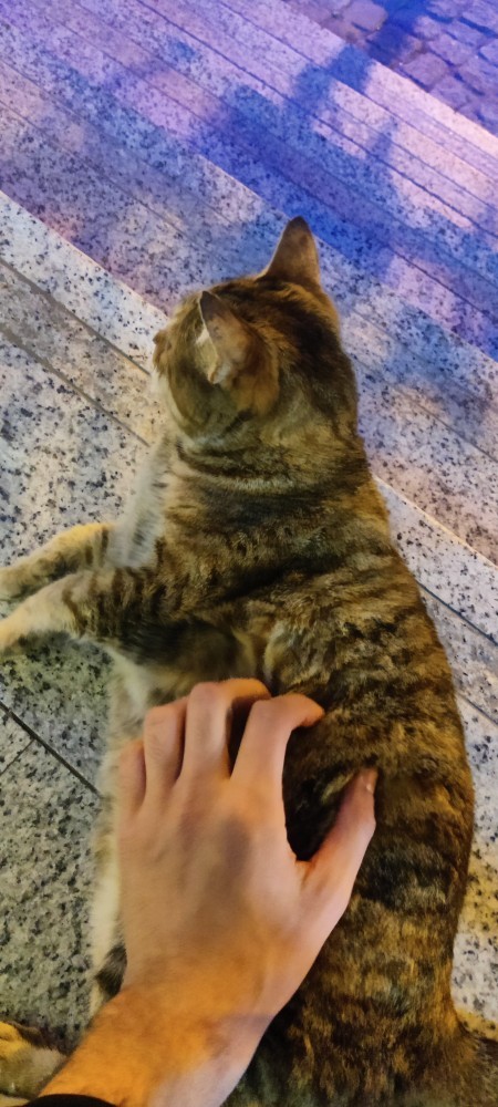 Duygularınız hala yerinde mi?