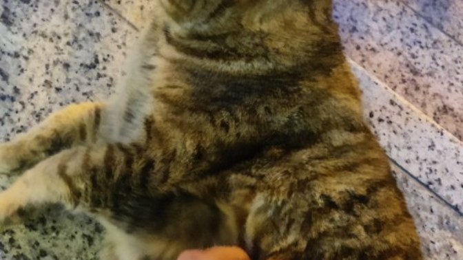 Duygularınız hala yerinde mi?