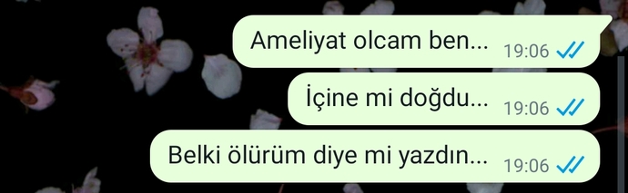 Pireyi deve yaparken ben 🤓 Hastayken nazlanan taraf mı kapı gibi duran taraf mısınız?