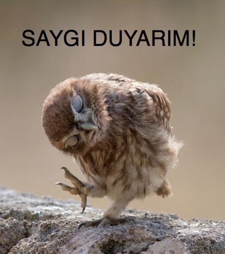 En son hangi içeceği içtiniz?