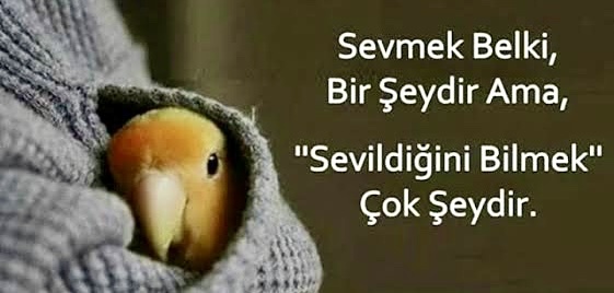 Size en çok sevildiğinizi hissettiren nedir?