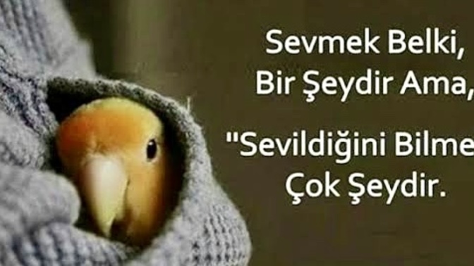 Size en çok sevildiğinizi hissettiren nedir?