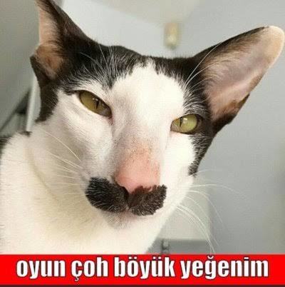 Her sey neden bu kadar pahali 😕?