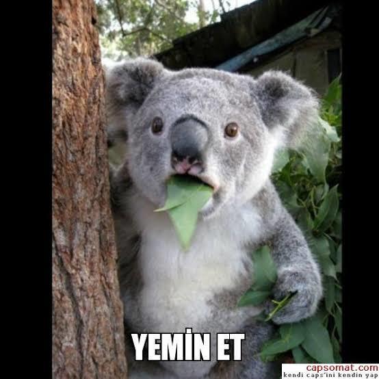 Her şey neden bu kadar pahalı 😕?